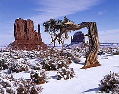 100280300207