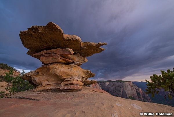 Zion Rock Sculpture 051918 3549