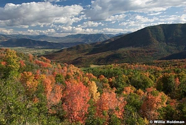 Wasatch statepark091710