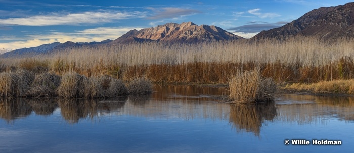 Timpanogos Browns Reflection 102217 6038