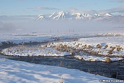 Timpanogos Winter Field 120319 3059