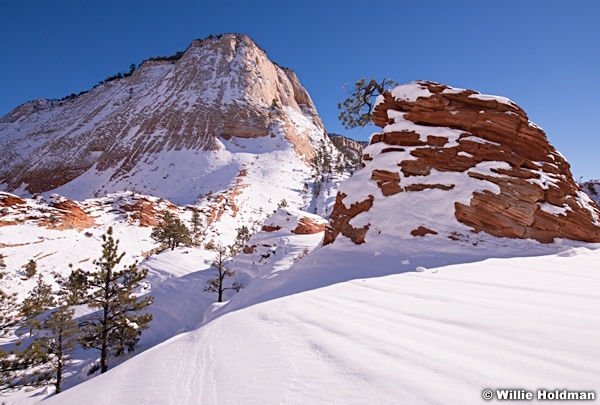 Zion Winter Snow 121013 3139