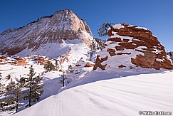 Zion Winter Snow 121013 3139