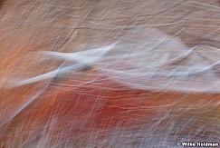 Abstractimpressions101510 6997