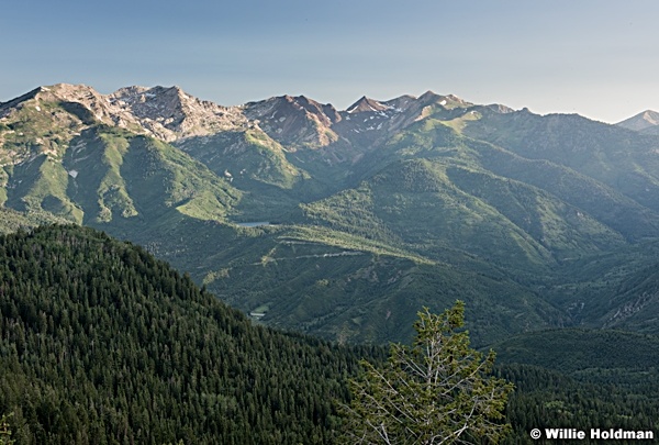AF Canyon 062315 2 6