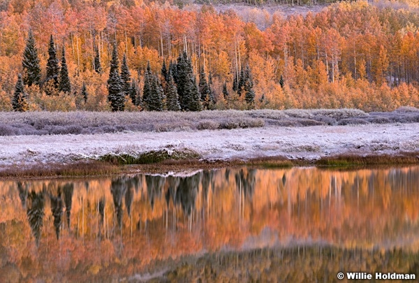 Aspen Autumn Reflection 093014 0286 2 9