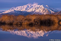 Timpanogos Reeds Reflection 022114