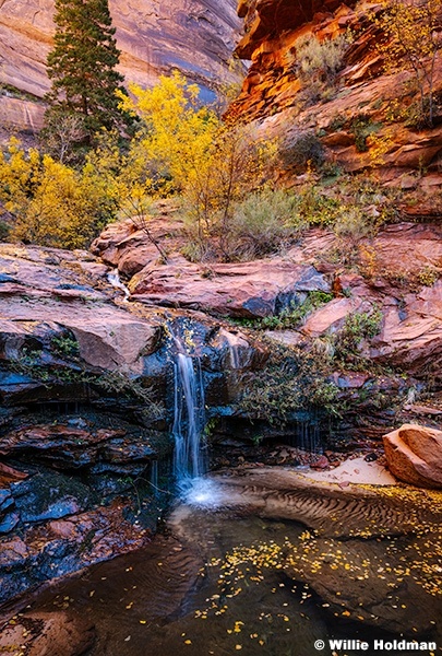 Zion Autumn Waterfall 110425 3579