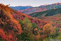 Wasatch State Park Color 5x7