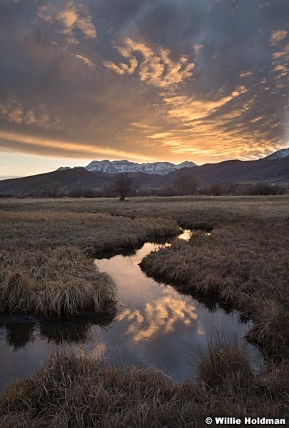 Meandering stream Heber Sunset 112020 3972 3