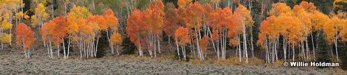 Redaspensage100111