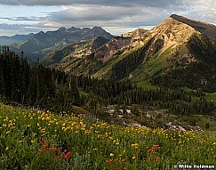 Boxelder timp 072412