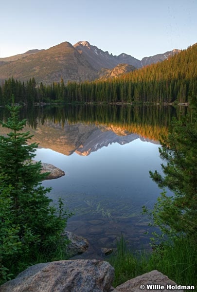 Rockymountainbearlake071809