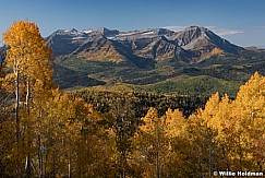 Yellow Aspens Framing Timpanogos 093021 6581