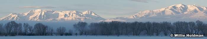 frostypastureheberpan