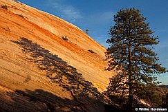 Sandstone Swirls Kanab 032012 165