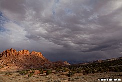 Capital Reef 051913 2653