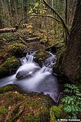 Willamette Waterfall 110914 9238 3