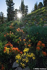 Snake Creek Canyon 070516 4570 3