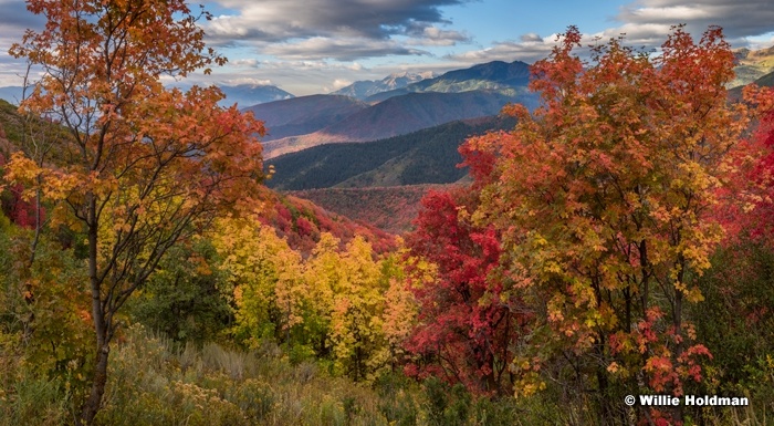 Killer Wasatch Color 091516 22x40