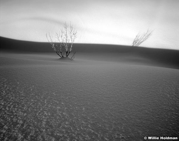 217000009609BW