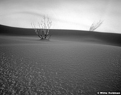 217000009609BW