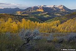 Timpanogos Sage 093021 6439