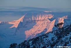 Timpanogos Sunrise Tree 011325 3831