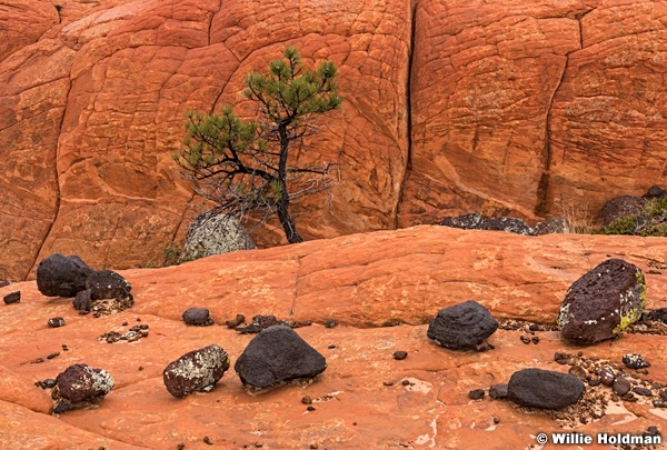 Lava Rocks Sandstone 102815 5