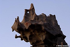 101306289