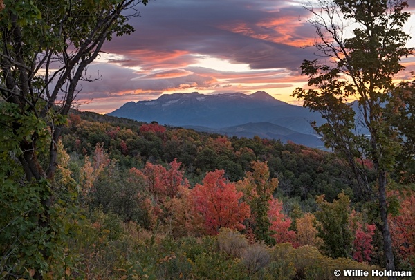 Maples Timpanogos Sunset 090820 8182 3