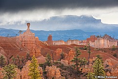 Bryce Canyon HooDoo 042717 9433