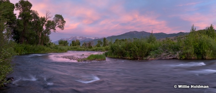 Provo River Spring Sunrise 060618 9604