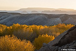 Cottonwood Badlands 102120 8543 4