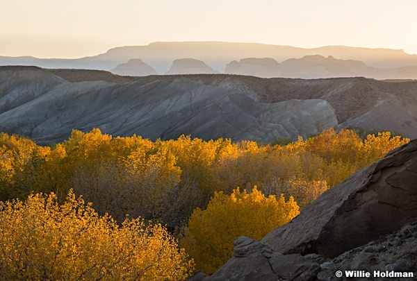 Cottonwood Badlands 102120 8543 4