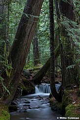 Ramona Waterfall Oregon 110714 7642 
