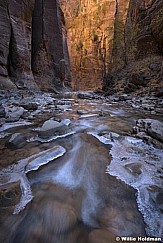 Zion Narrows Glow 110519 4017