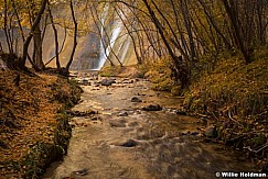 Calf Creek Stream 102423 3668