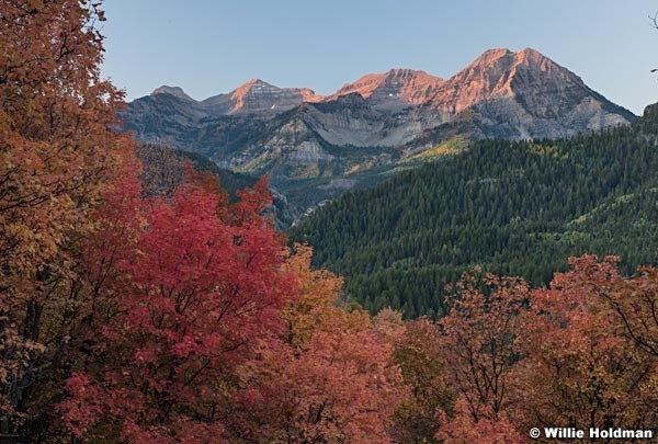 Timpanogos American Fork Canyon 091916 4