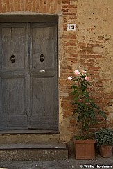 Roses093209 272