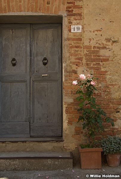 Roses093209 272