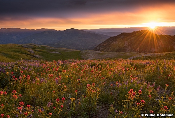 Timpanogos Basin 071915 9364