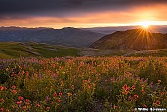 Timpanogos Basin 071915 9364