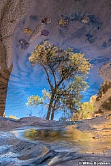 Cottonwood Reflection 101623 2