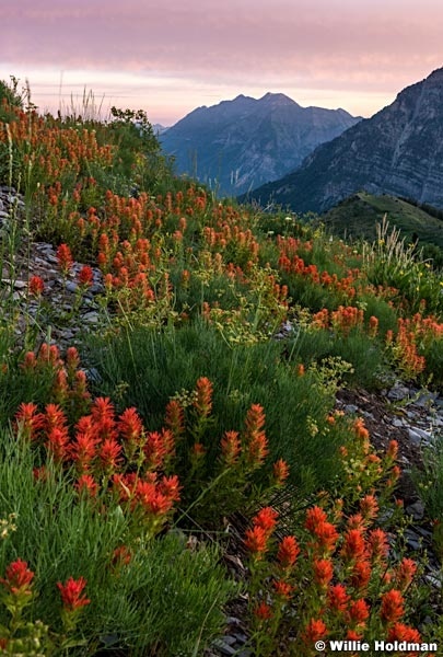 Timpanogos Sunrise 063016 3551 2