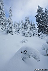 Snowdumpoctpines100811 109