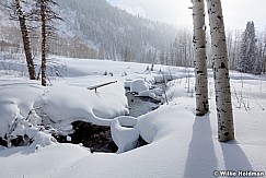 Sun Silhouette 021113 478 9