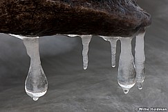 Iceciclesprovo110811 56