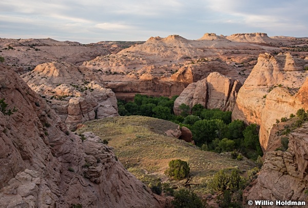 Escalante River Rock 060216 9575