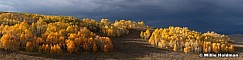 Aspen Light Strawberry 092812